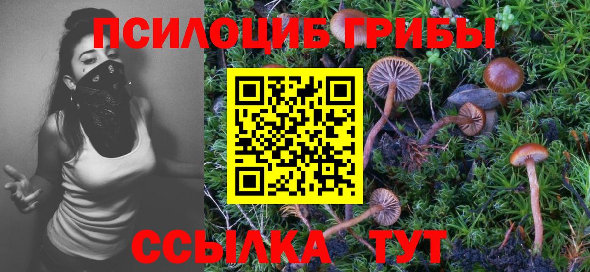 Псилоцибиновые грибы Cubensis  Вход с VPN  где найти   Новоалтайск  Псилоцибиновые грибы ЛСД 
