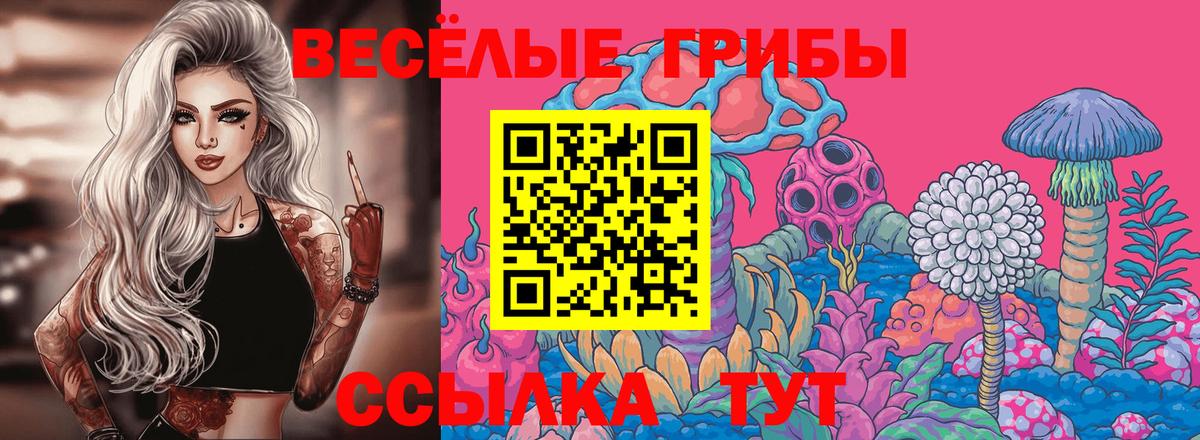 Галлюциногенные грибы Psilocybine cubensis Новоалтайск
